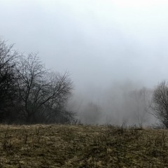 белый туман слился с пепельным дымом, мартовский дождь , наконец, перестал