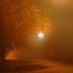 Туман / Ночь / Фонари