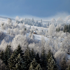 Зимовий краєвид Карпат