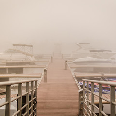 мостик в туман