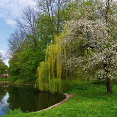 Весна в парке