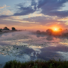 Шахед кружляв та сонце вийшло і підсвітило цю красу