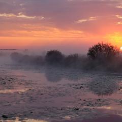 Сходило сонце за туманом