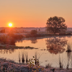 Морозний світанок