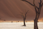 Deadvlei .Namibia