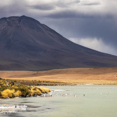 Landscape of Bolivia