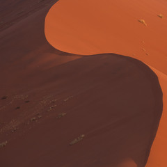 Крива дюни