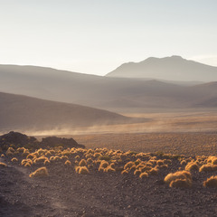 Landscape of Bolivia