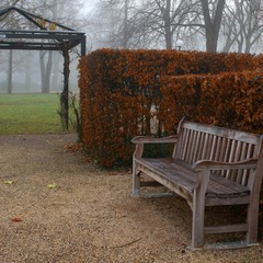 Туман,декабрь,скамейка