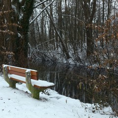 У речки скамейка покрылась снежком