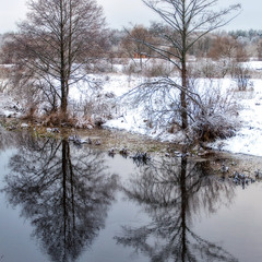 Зеркальная Плиса в декабре
