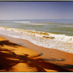 Пальмы, океан, песок...