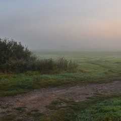 Ранковий туман