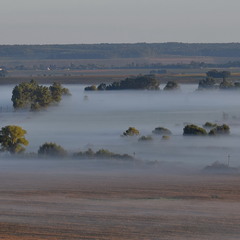 Плине туману ріка