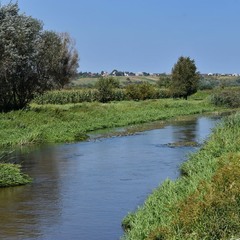 Літній день