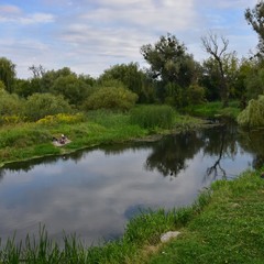 Рибацька замальовка