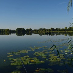 В очікуванні кльову