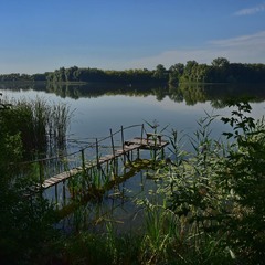 Ранок на річці