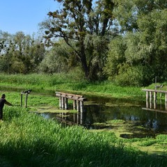 Рибалка з групою підтримки