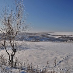 Зимовий пейзаж
