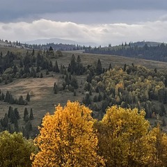 Осінні Карпати