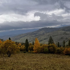 Карпати в жовтні