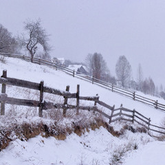 Снежное утро в Ворохте