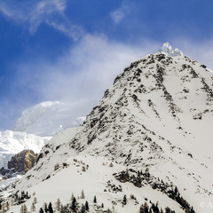 Скелясті Альпи