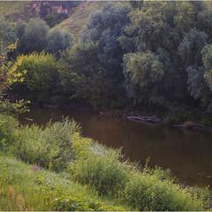 Просто річка Псьол у Полтавській області