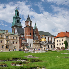 Wawelu