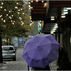 Синя парасолька...