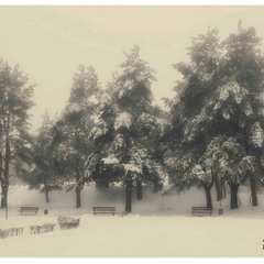 З прийдешнім Новим роком 2026! Нехай він принесе мир, здоров’я та багато приємних новин.