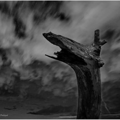 На берегах р.Горинь