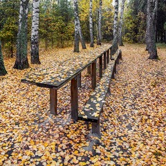 Осенний столик...)