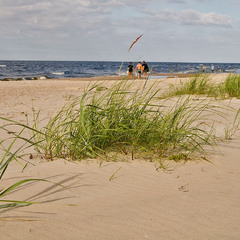 прибалтийский пляж