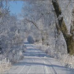 зима - 2011