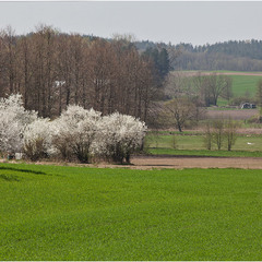 весна в селі -  2