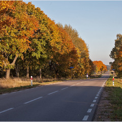 дорога в осінь