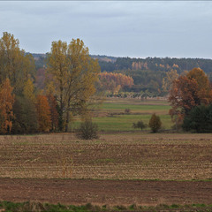 сільська осінь - 3