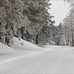 зимова дорога