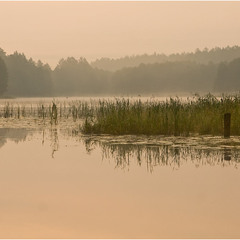 утром на озере
