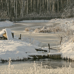 зима 2009
