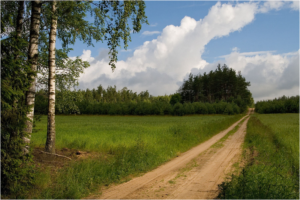 Картинки полевая дорога
