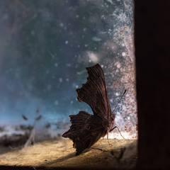 У пошуку світла.