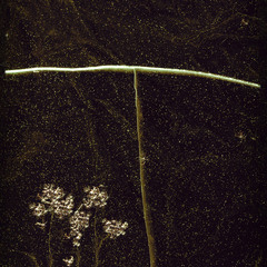 Вікно у ніч.