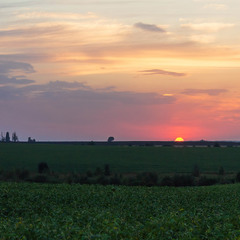 Плине Сонце за НебоКрай Сварожий РАнок зустрічати.