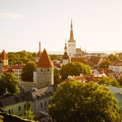 Утро в Таллине