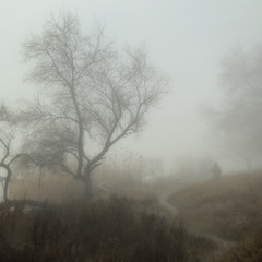У ранковому тумані