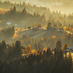 Золотий ранок Карпат.