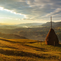 Перші дотики сонячних променів